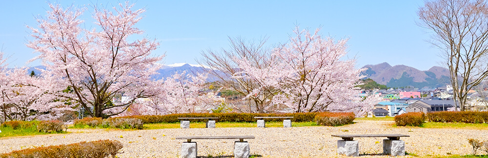 地域密着型